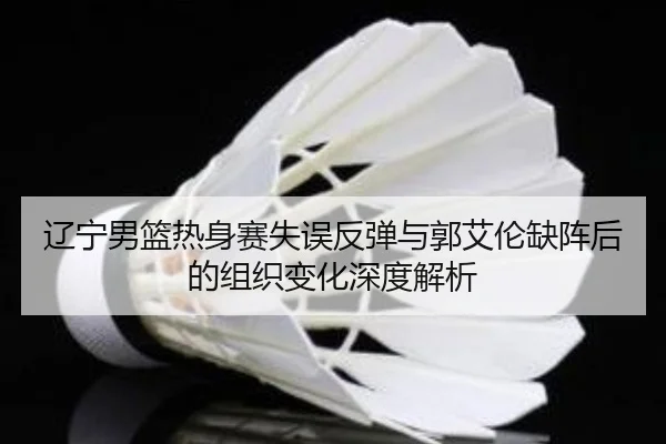 辽宁男篮热身赛失误反弹与郭艾伦缺阵后的组织变化深度解析